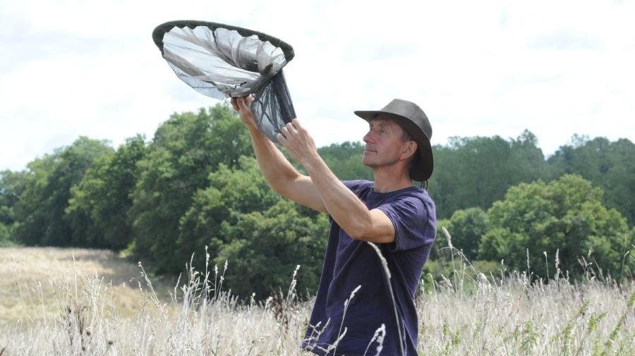 image of Dave Goulson catching insects with a net